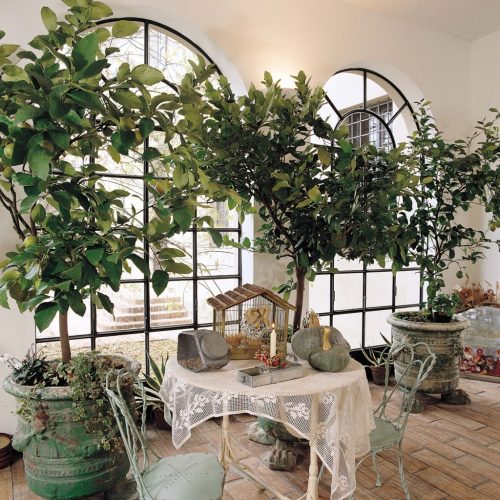 07284-03 (FILEminimizer)