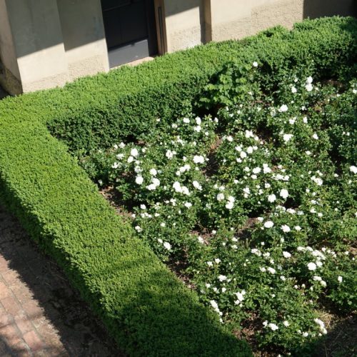 DSC02619 (FILEminimizer)