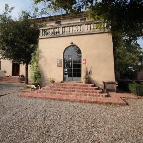 _MG_1517 (FILEminimizer)